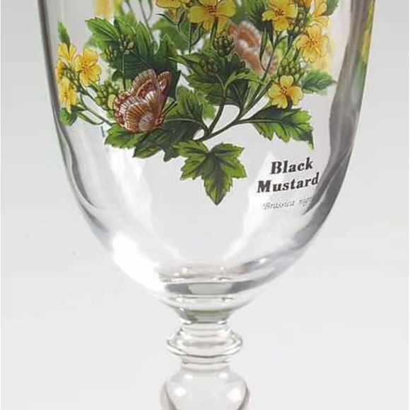 ROYAL WORCESTER Gold Trim Water Goblet ‘Worcester Herbs - BLACK MUSTARD’- 7" - Picture 2 of 7